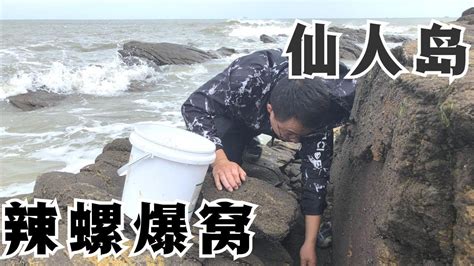 二哥赶海又遇到辣螺窝，这次捡的真不少，桶都快装不下了！【赶海二哥】 Youtube