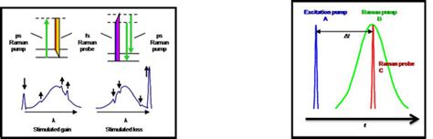 Clf Femtosecond Stimulated Raman Spectroscopy