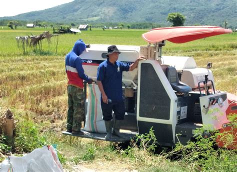 Pemanfaatan Alsintan Solusi Tepat Memanen Di Tengah Pandemi Corona