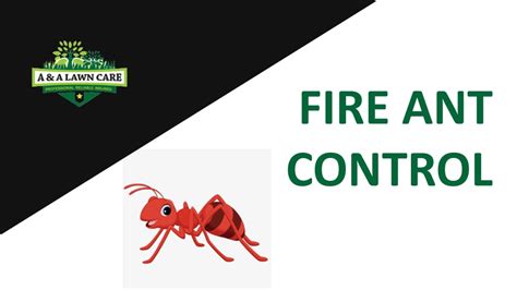 Ppt Top Notch Fire Ant Control And Lawn Fertilization Services Powerpoint Presentation Id