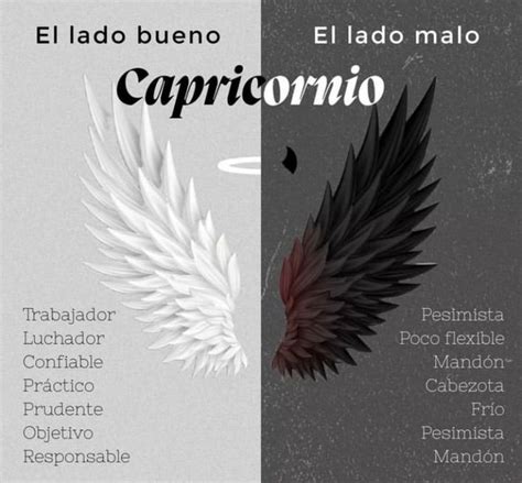 Pin De Yolanda Revuelta En Capricornio Frases De Capricornio Signos