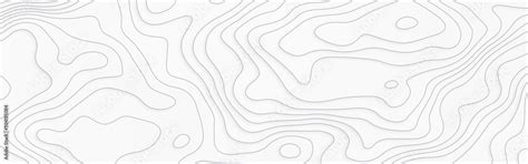 Luxury White Abstract Line Art Topographic Background And Texture