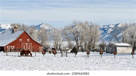 Winter On Ranch Bozeman Montana Christmas Stock Photo 2389665083 ...