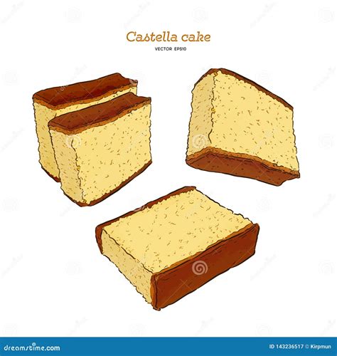 Japanese Sponge Cake Castella Hand Draw Vector Stock Vector