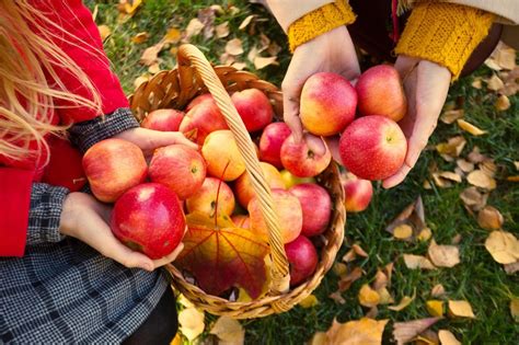Fall Flavors And Fun At Ithaca New York Apple Harvest Fest