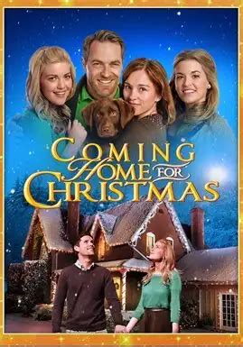 Coming Home for Christmas (2013) Movie | hoopla