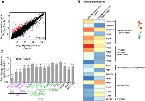 Expression Microarray Analysis A Scatter Plot Of Global Gene