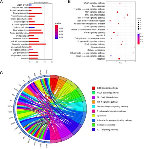 GO And KEGG Analysis Of Potential Targets Of TG And Bile Duct