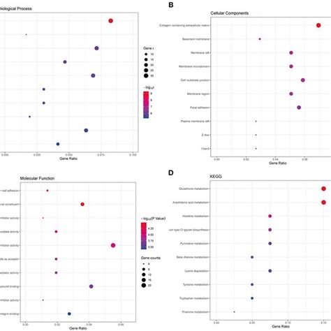 Functional Enrichment Analyses Of The Common Degs A The Top 10