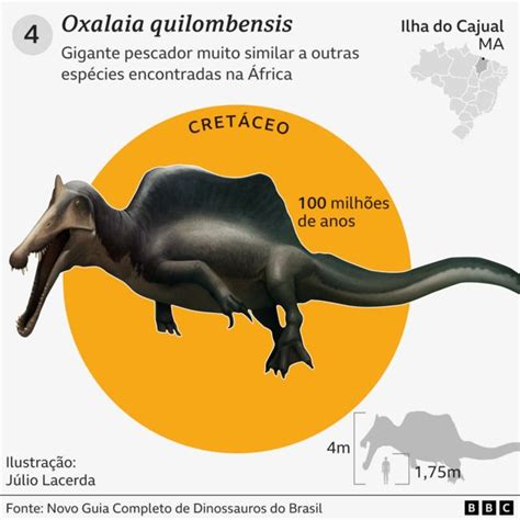 As fascinantes histórias de 7 dinossauros encontrados no Brasil BBC