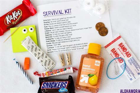 Alohamora: Open a Book: High School Graduate DIY Survival Kit {diy, craft, gift}