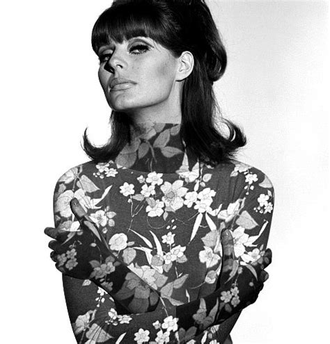 picture  paulene stone