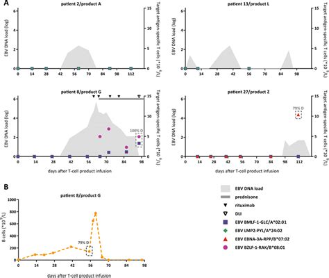 Patients With Ebv Reactivations During Follow Up A Ebv Dna Loads And