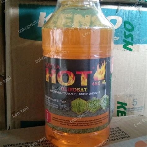 Jual Herbisida Sistemik Herbisida Mati Sampai Akar Stya Hot 486