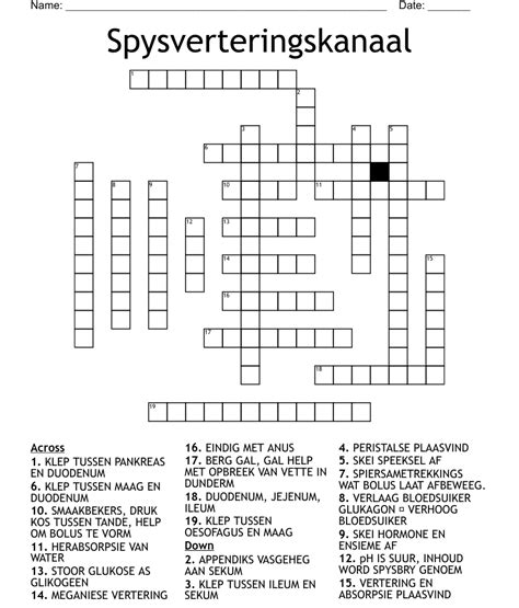 Spysverteringskanaal Crossword Wordmint