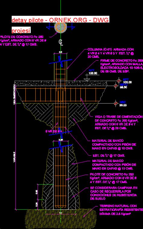 Detay Pilote Dwg Projesi Autocad Projeler