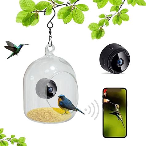 Alimentateur Intelligent Pour Oiseaux Connect Wifi Pour Une Exp Rience