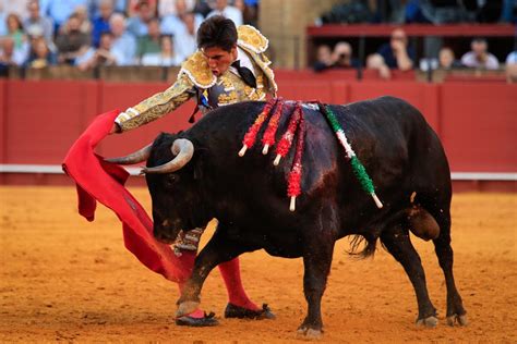 Aprueban prohibición de corridas de toros en Colombia CorrillosR