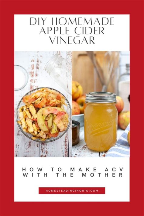 Homemade Apple Cider Vinegar Recipe