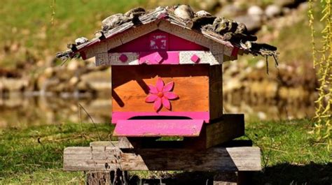 10 Bee Utiful Beehive Diy Projects Diy Projects Craft Ideas And How To