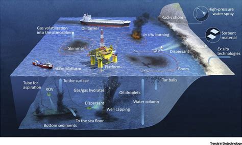 Natural Hazards | Hazard chains: from anthropic oil spills to ecosystem ...