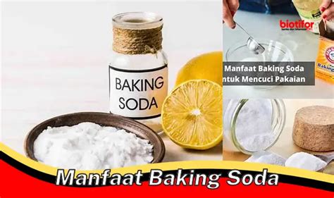 Temukan Manfaat Baking Soda Yang Jarang Diketahui Biotifor