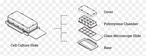 Well Cell Culture Slides 8 Well Cell Culture Slide, Plan, Plot, Diagram ...