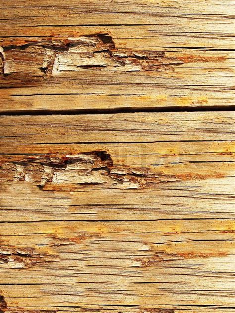 High Resolution Natural Wood Grain Texture Stock Photo Colourbox