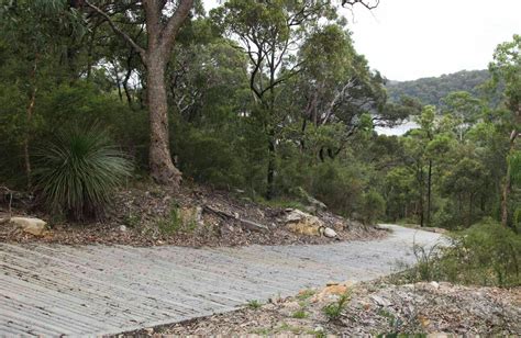 Great North Walk Ku Ring Gai Chase National Park Sydney Australia