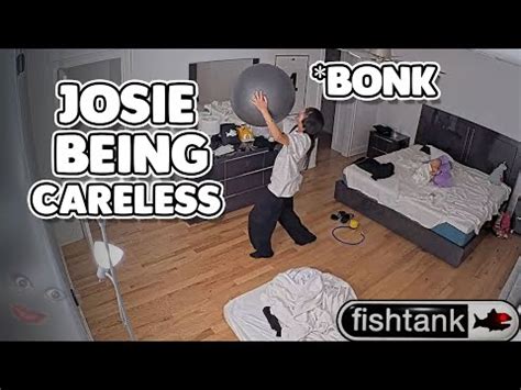 JOSIE BEING CARELESS AND QUESO KNOWS IT Fishtanklive Fishtank YouTube