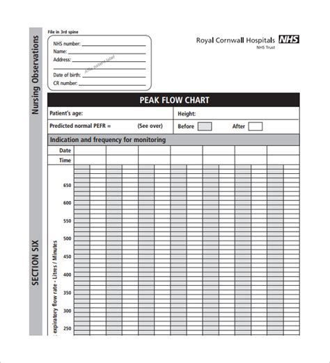 FREE 6+ Peak Flow Chart Templates in PDF | MS Word