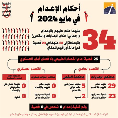 إنفوجراف أحكام الإعدام في مصر خلال شهر مايو لعام 2024 المبادرة