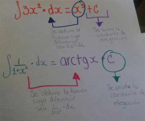 CONSTANTE DE INTEGRACIÓN Las Matemáticas de Vivi