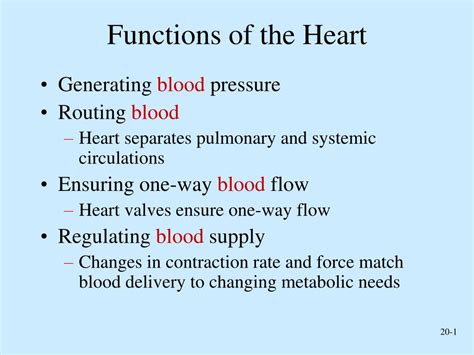 Ppt Functions Of The Heart Powerpoint Presentation Free Download Id 4225154