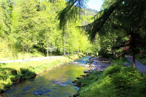 Naturpark Schwarzwald Mitte Nord Schwarzwaldportal