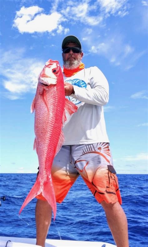 Captain Joels Fishin Holes Snag Some Snapper This Winter