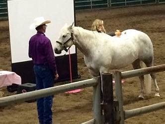 Equine Release Form Inhand Equine Therapy