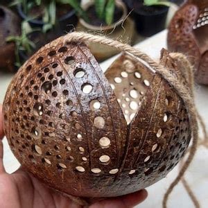 Pc Medium Size Multifunctions Handicraft Coconut Shell Hanging