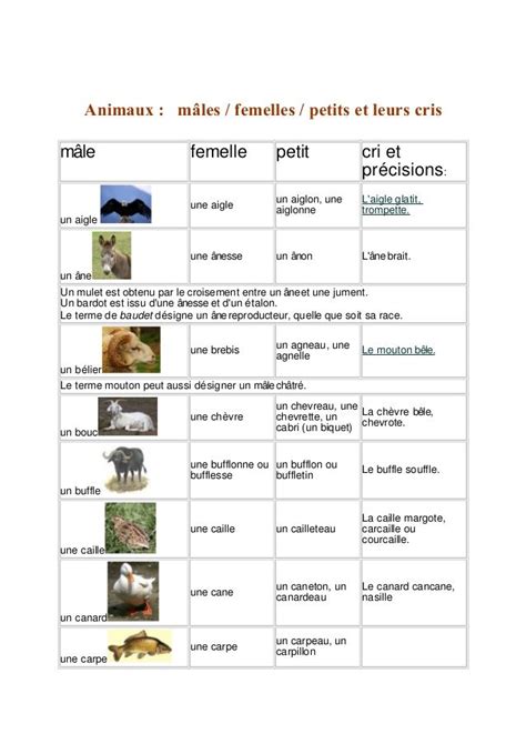 Animaux M Les Femelles Petits Et Leurs Cris