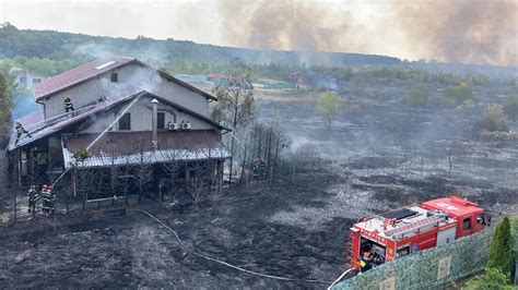 B365 BREAKING Uriaș incendiu de vegetație lângă pădurea Băneasa