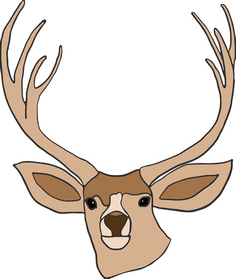 Free Deer Head Download Free Deer Head Png Images Free Cliparts On
