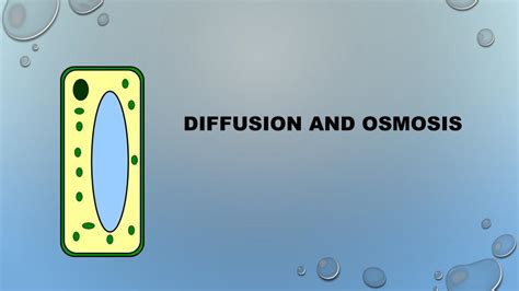 Ppt Diffusion And Osmosis Powerpoint Presentation Free Download Id 1973485