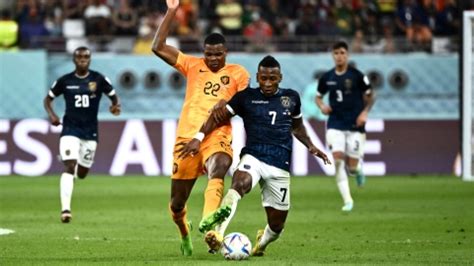 Netherlands Ecuador Share Points To Eliminate Hosts Qatar Shine News