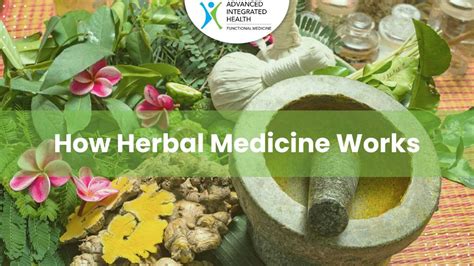 The Basics Of Herbal Medicine An Introduction