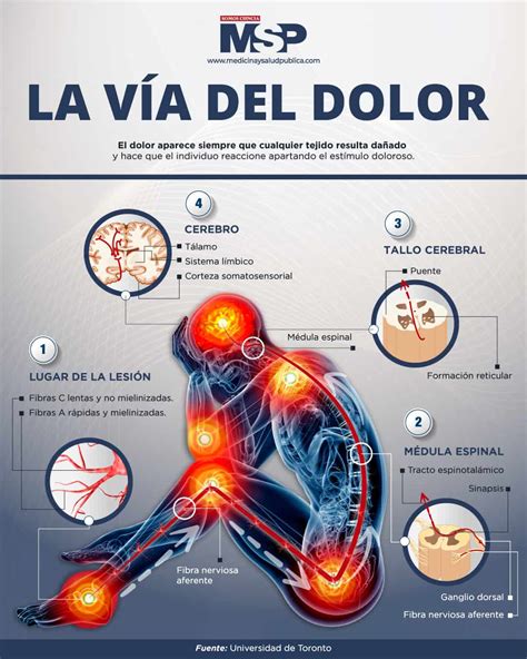 La Concurrencia De Dos Genes Mutados Podría Ser La Clave Para