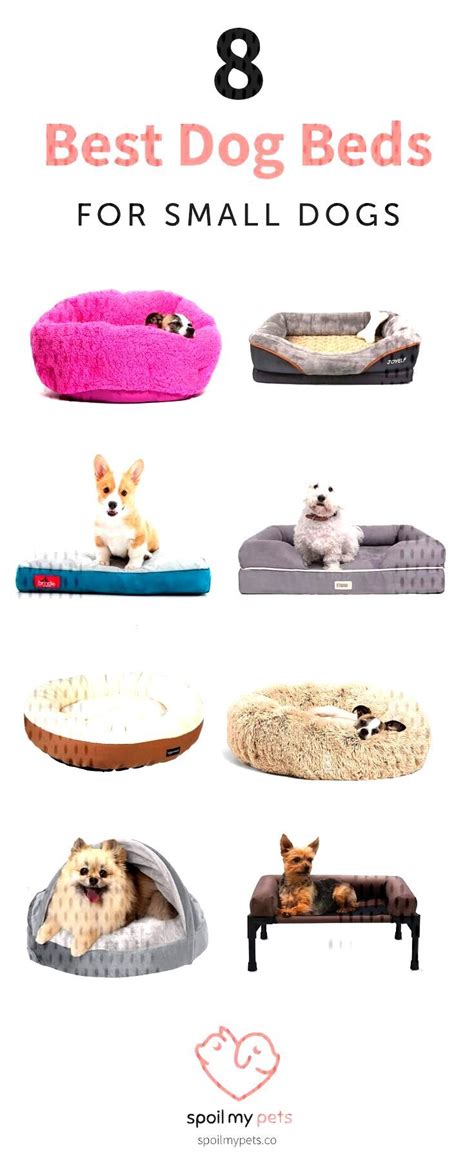 Best Dog Beds For Dogcrates