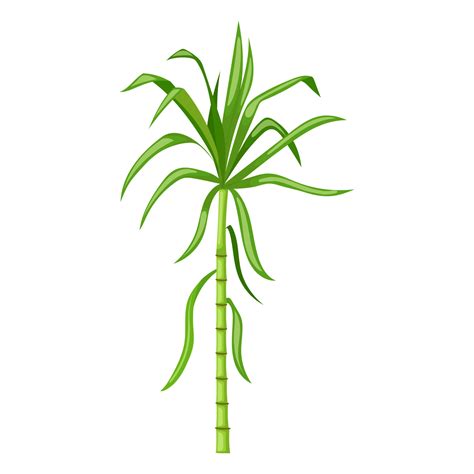 Sugar Cane Cartoon Vector Illustration 17590310 Vector Art At Vecteezy