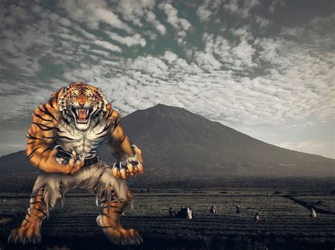 Legenda Manusia Harimau Cindaku Di Kerinci Panorama Kerinci