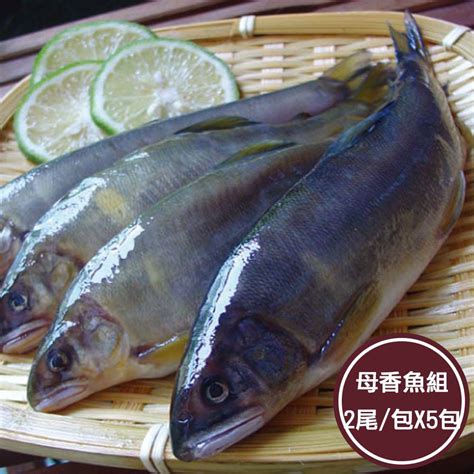 【新鮮市集】隻隻抱卵母香魚5包2尾包 Pchome 24h購物