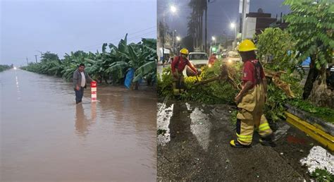 Frente Frío 16 Deja Vados Y árboles Caídos En Tabasco